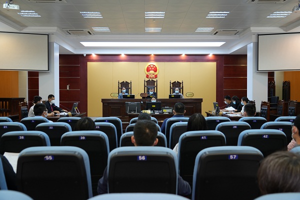 府院联动发力，司法护