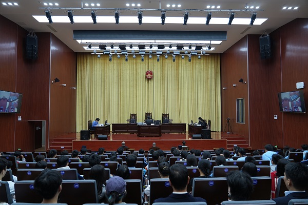 法槌声中悟成长——鼎湖区法院这场活动让法律“活”起来